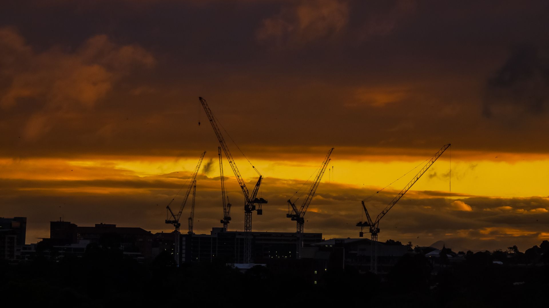 Tower cranes over a project site at dusk
